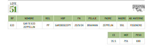 Lote LOTE 51