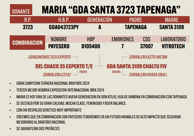 Lote LOTE 8