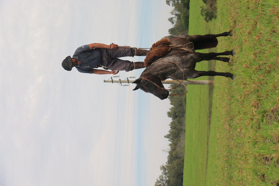 Lote TAPADA DEL CONVENTOS