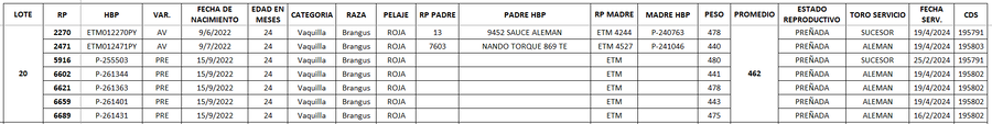 Lote LOTE 20