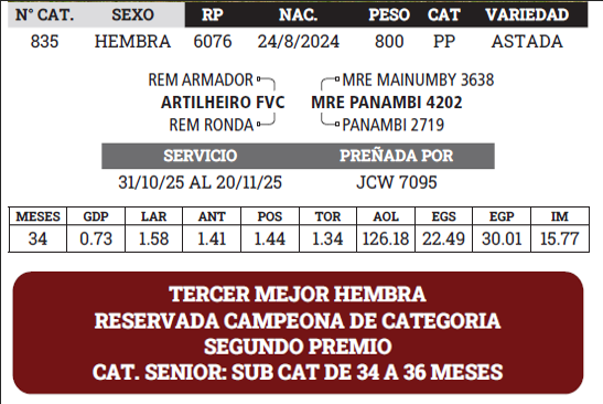 Lote LOTE 10 - BOZAL