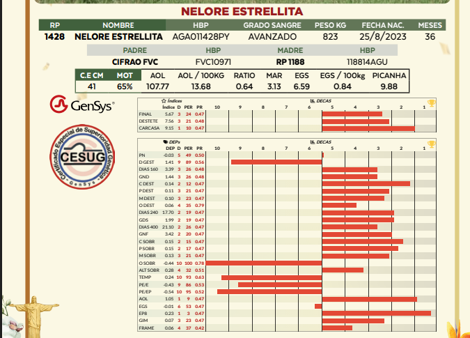 Lote LOTE 61