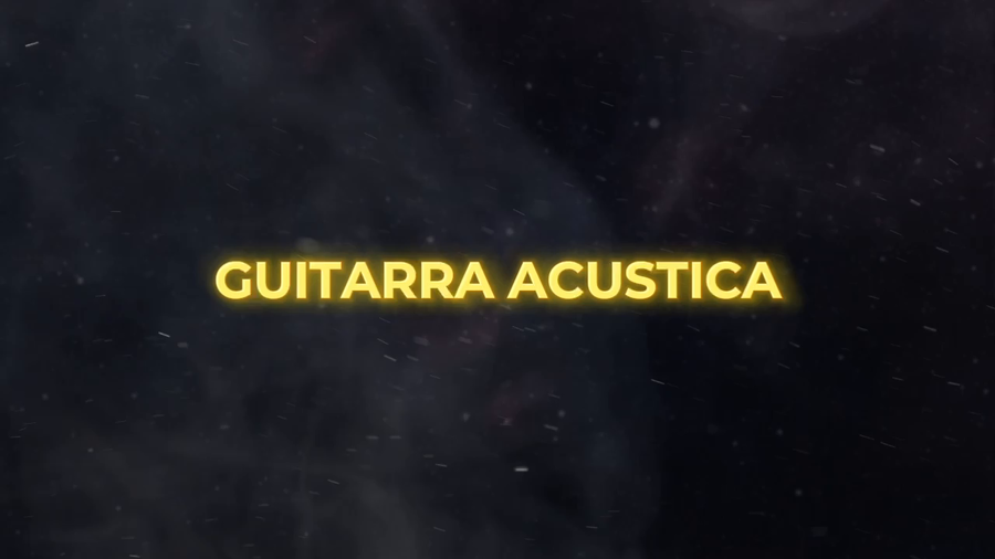 Lote Guitarra Acustica
