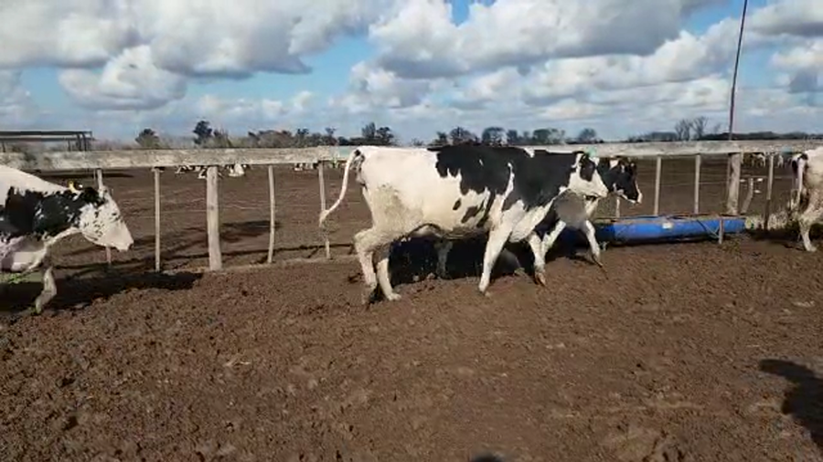 Lote Agrop. Don Bartolome