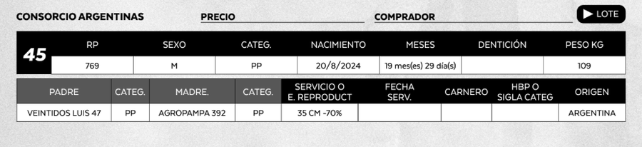 Lote LOTE 45
