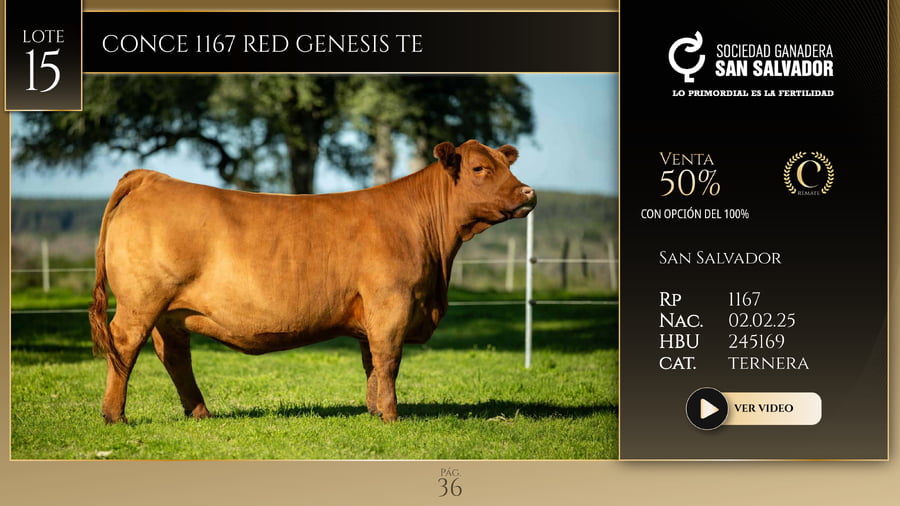 Lote CONCE 1167 RED GENESIS TE