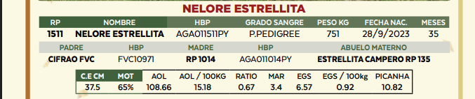 Lote LOTE 80