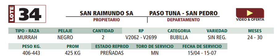 Lote LOTE 34