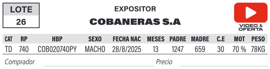 Lote LOTE 26