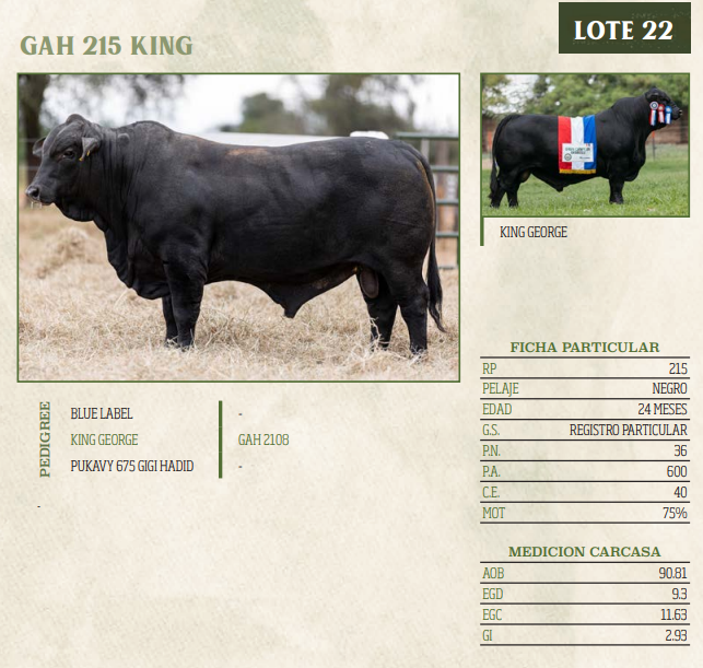 Lote LOTE 22