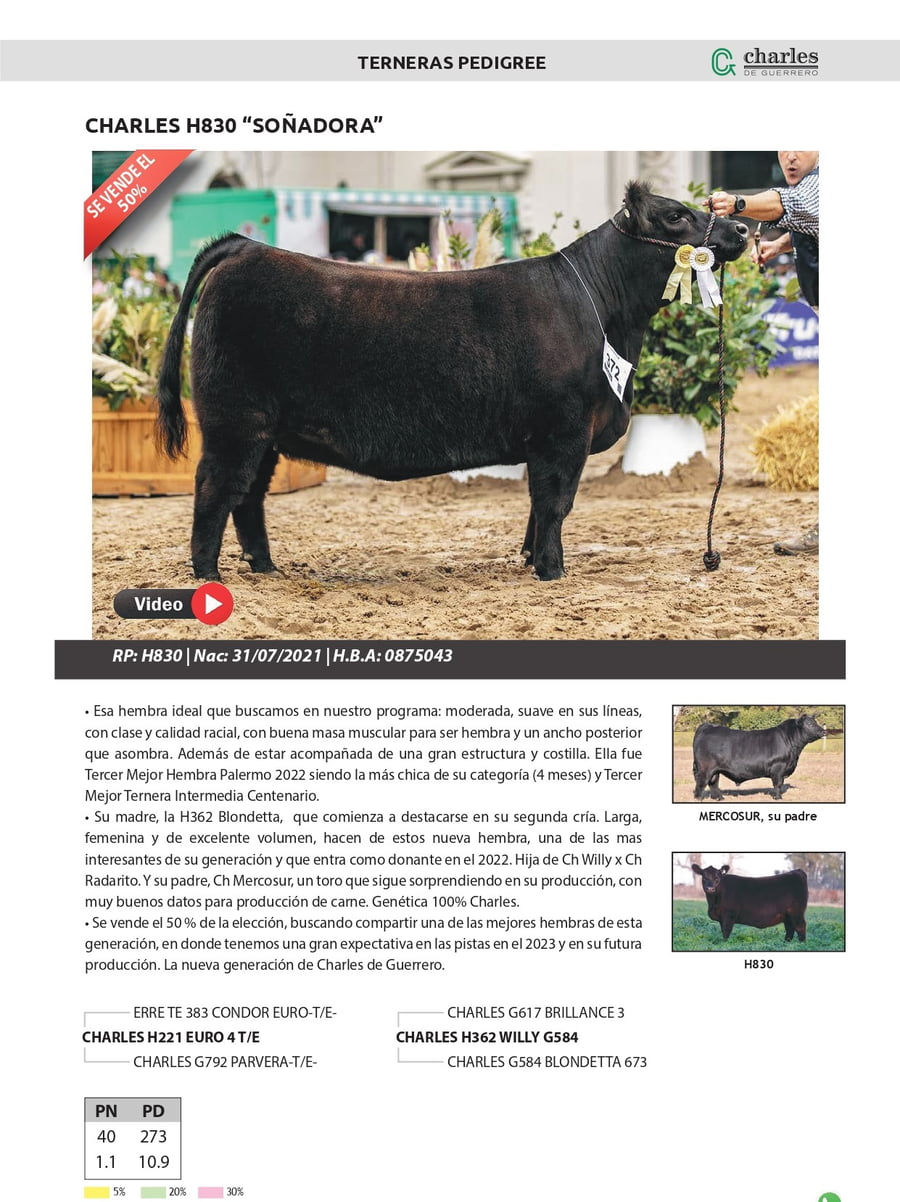 Lote Terneras