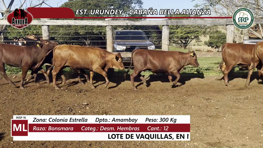 Lote EST. URUNDEY - CABAÑA BELLA ALIANZA