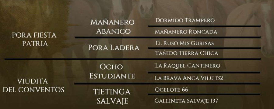 Lote Patria Vieja del Conventos