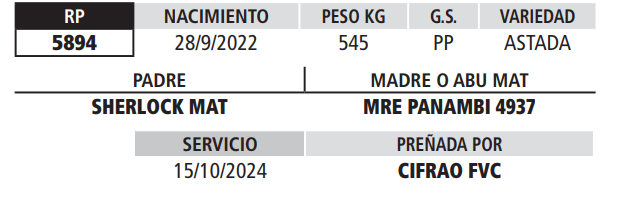 Lote LOTE 5