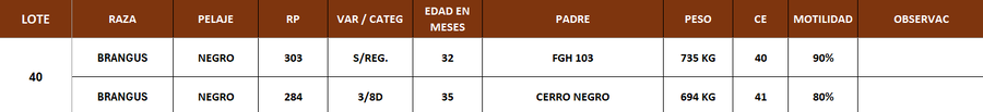 Lote LOTE 40