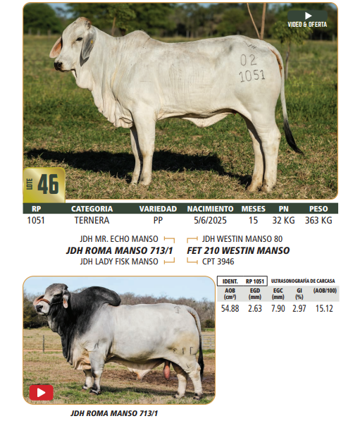 Lote LOTE 46