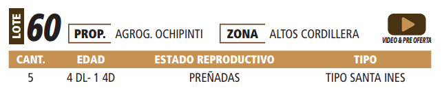 Lote LOTE 60 -POR PANTALLA