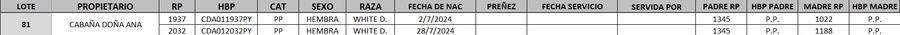 Lote LOTE 81- DESTACADO