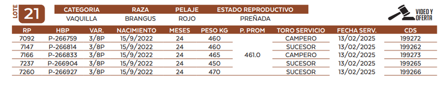 Lote LOTE 21