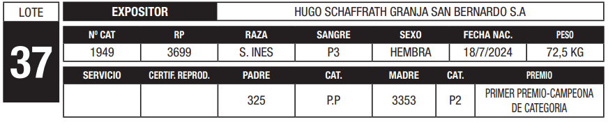 Lote LOTE 37