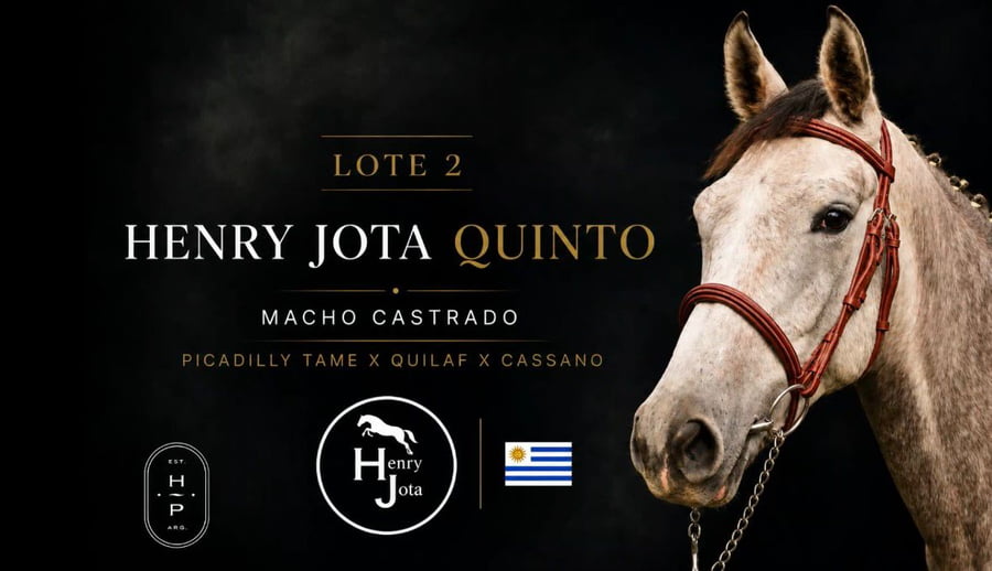 Lote HENRY JOTA QUINTO X PICADILLY TAME X QUILAF