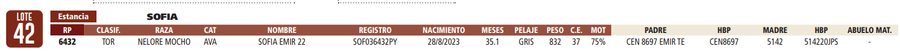 Lote LOTE 42