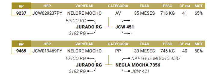 Lote LOTE 34