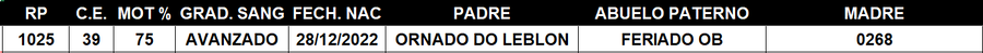 Lote LOTE 1