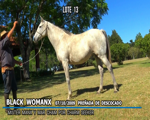 Lote BLACK WOMANX