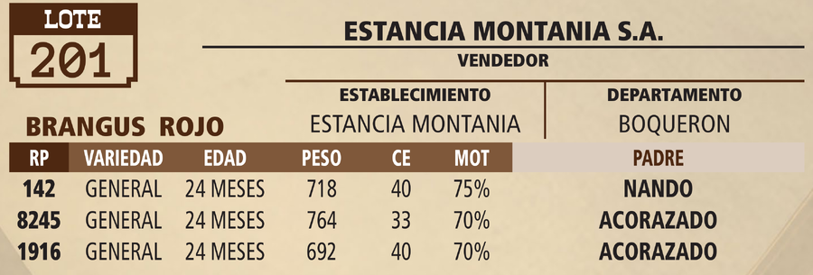 Lote LOTE 201 - VIVO