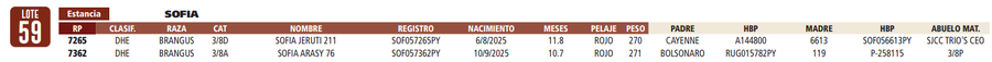 Lote LOTE 59