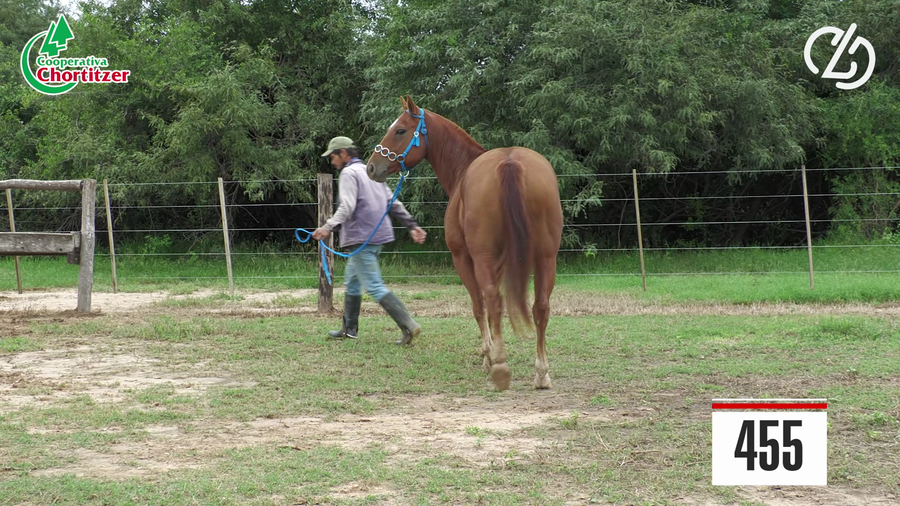 Lote Cuarto de Milla