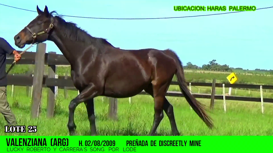 Lote VALENZIANA