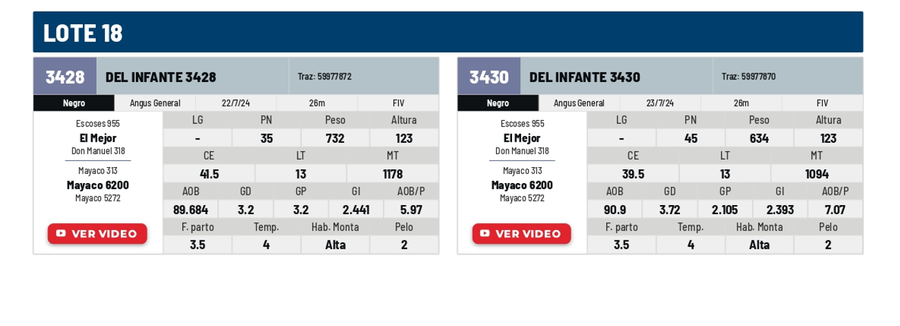Lote Lote 18