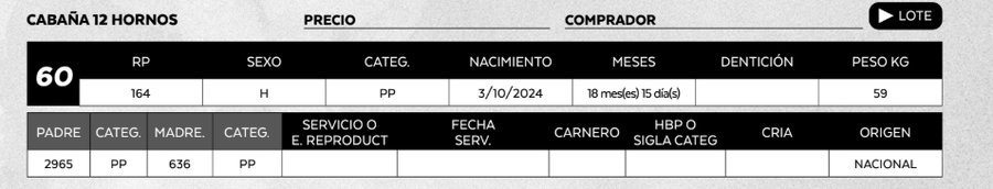 Lote LOTE 60
