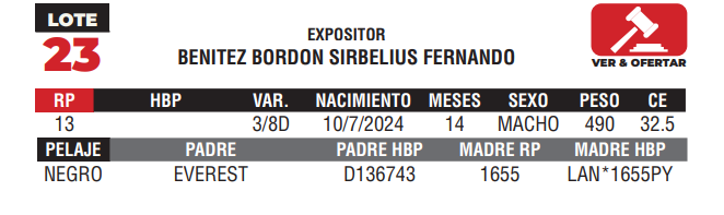 Lote LOTE 23 - JUNIOR