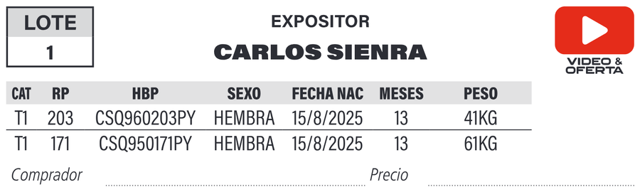 Lote LOTE 1