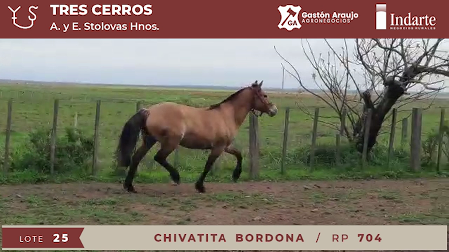 Lote CHIVATITA BORDONA