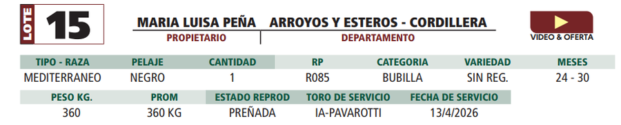 Lote LOTE 15