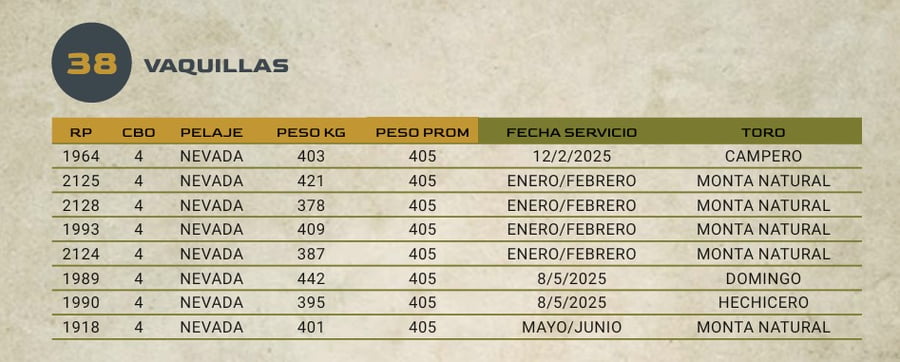 Lote LOTE 38