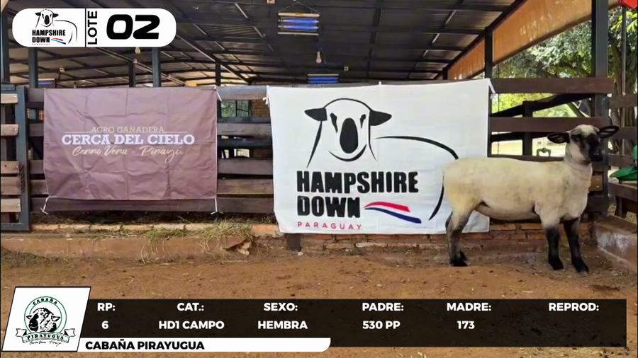 Lote LOTE 2- CAMPO