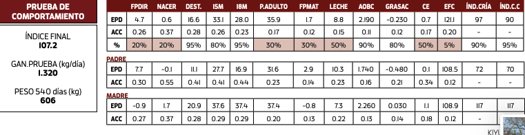Lote VALLE DEL LAUREL