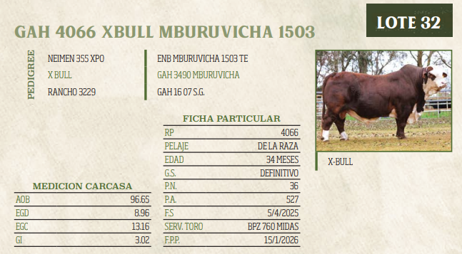 Lote LOTE 32