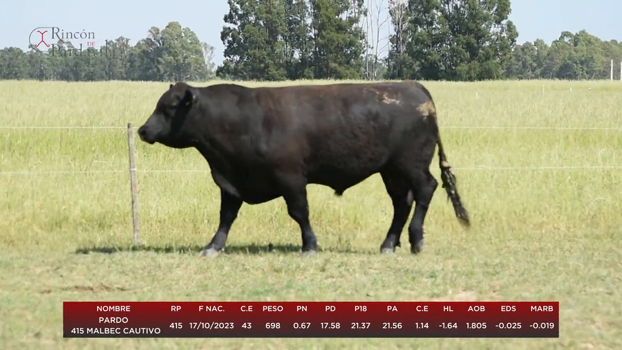 Lote PARDO 415 MALBEC CAUTIVO