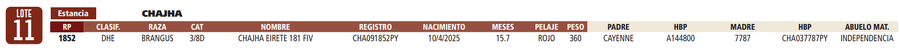 Lote LOTE 11