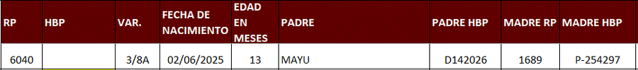 Lote LOTE 30