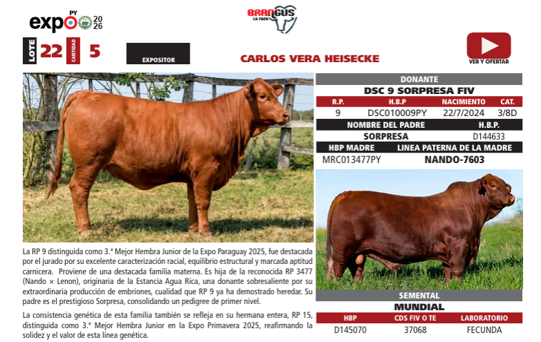 Lote LOTE 22
