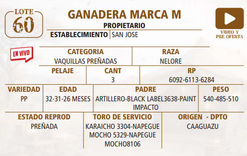 Lote LOTE 60 -EN VIVO