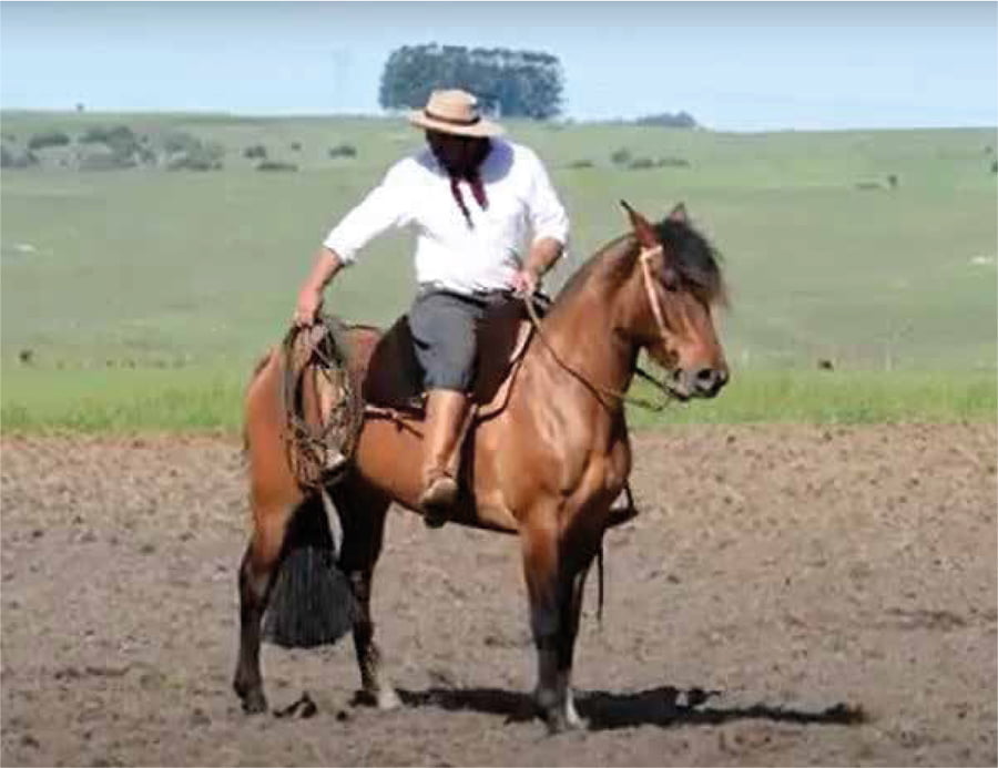 Lote El Gavilán Nicotina (RP 452) Cabaña "El Gavilán"