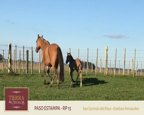 Lote Paso Estampa (RP 15) - Cabaña San Germán del Paso